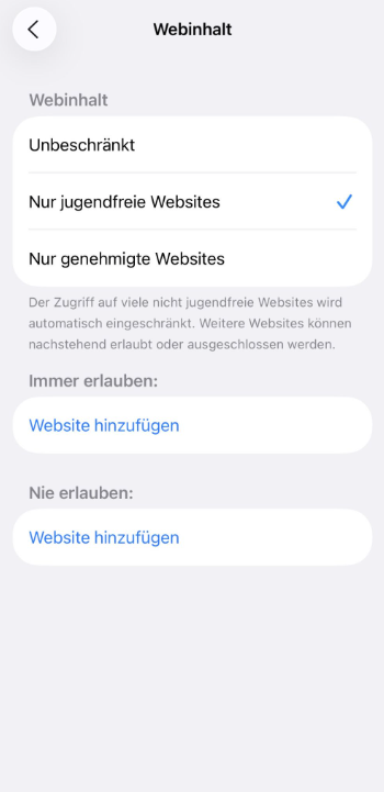 iPhone screen showing how to restrict websites.