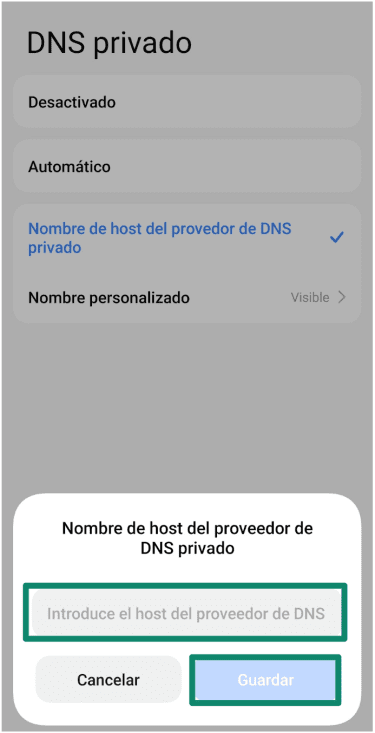 Enter The Dns Provider Settings Es