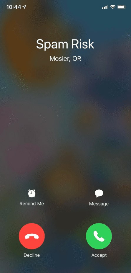iPhone incoming call screen identifying the caller as a “Spam Risk”.