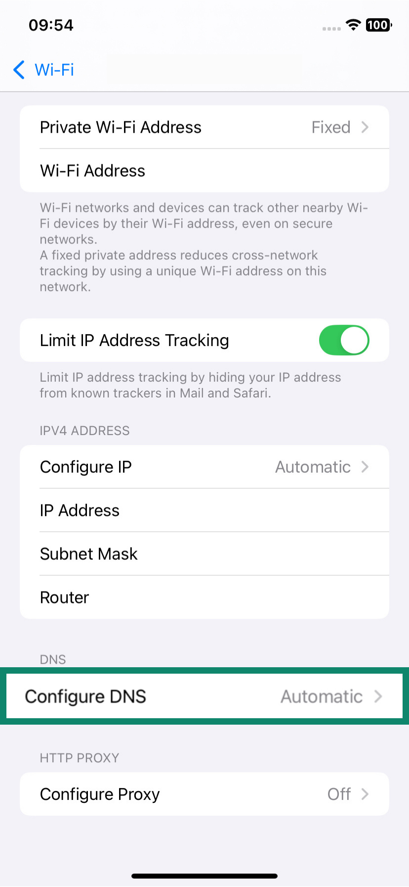 The network information page of an iOS device, showing the Configure DNS menu option.