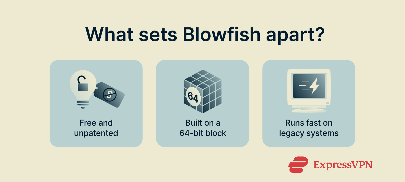A brief explanation of what sets Blowfish apart from other ciphers.