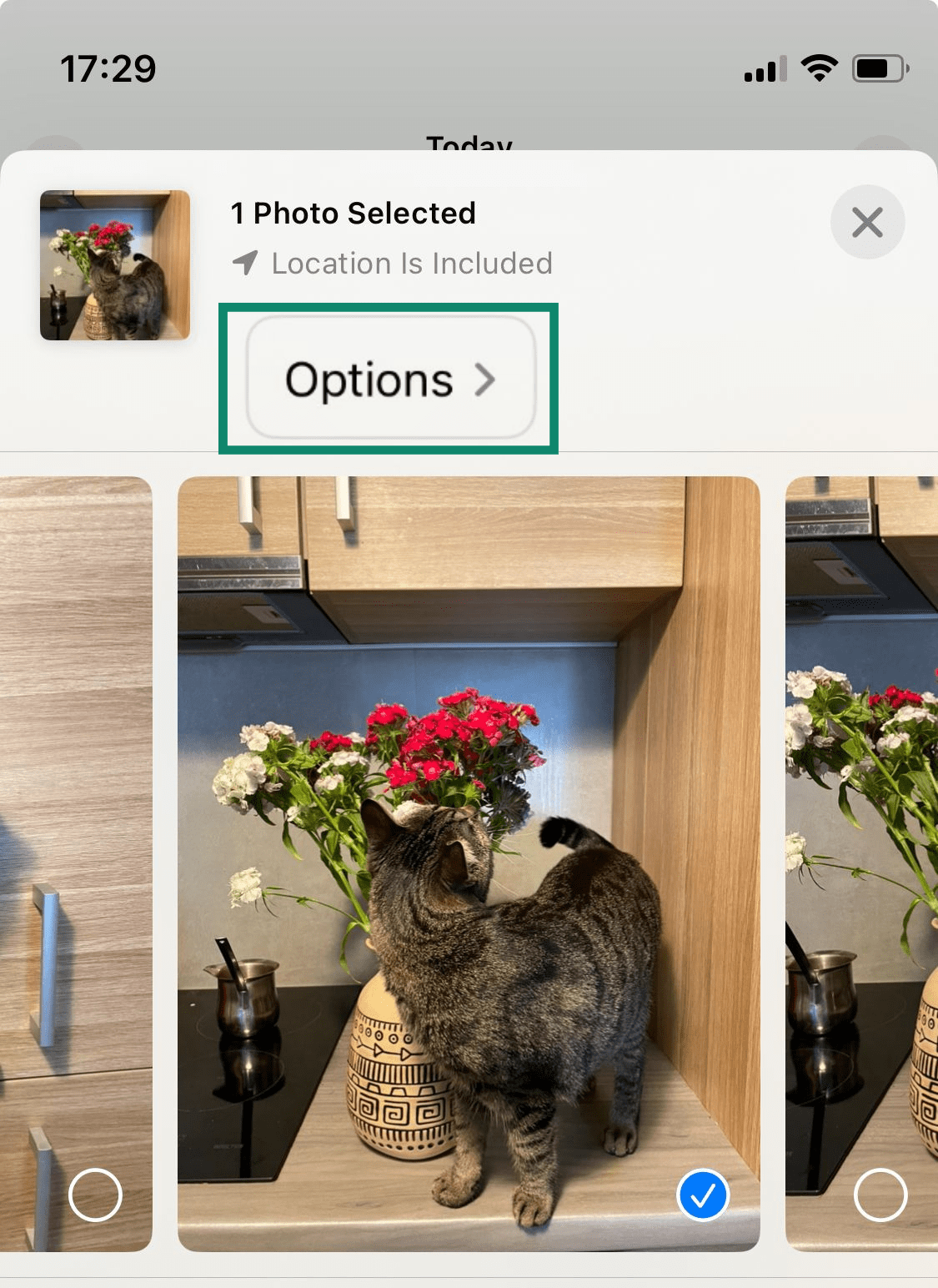 A selected photo on an iPhone, with the Options button highlighted.