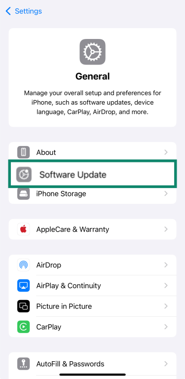 iPhone Settings under General with Software Update highlighted.