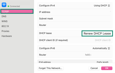 TCP/IP settings on macOS showing the Renew DHCP Lease button.