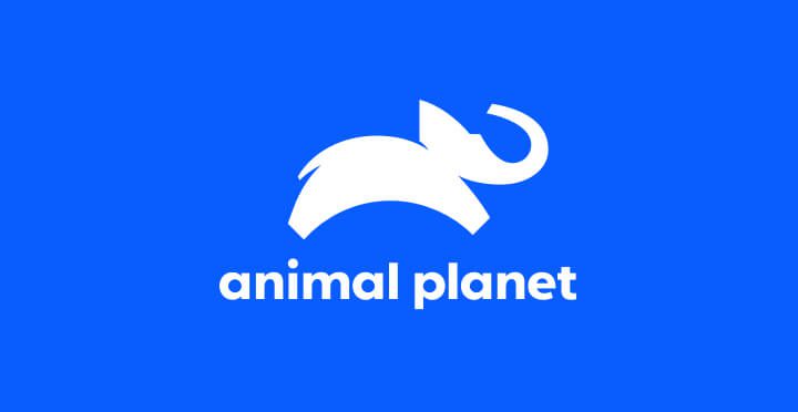 Animal Planet logotyp.