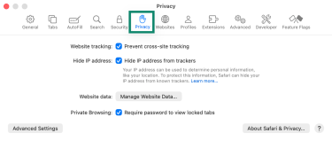 Safari's Privacy settings on macOS.