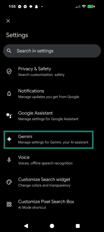 Google's settings menu with an outline around the Gemini sub-menu.