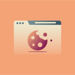 What are internet cookies and how do they work?