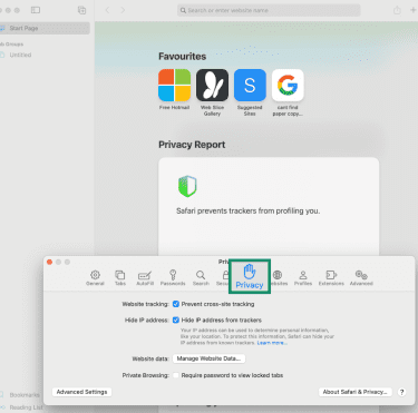 Safari browser privacy settings.