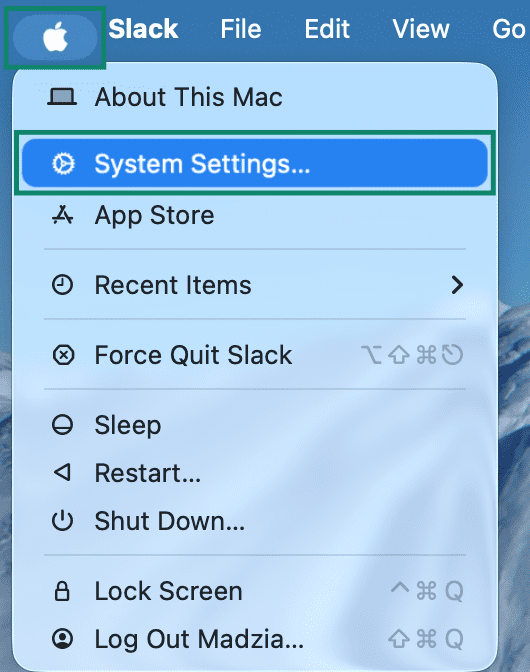 macOS system settings menu.