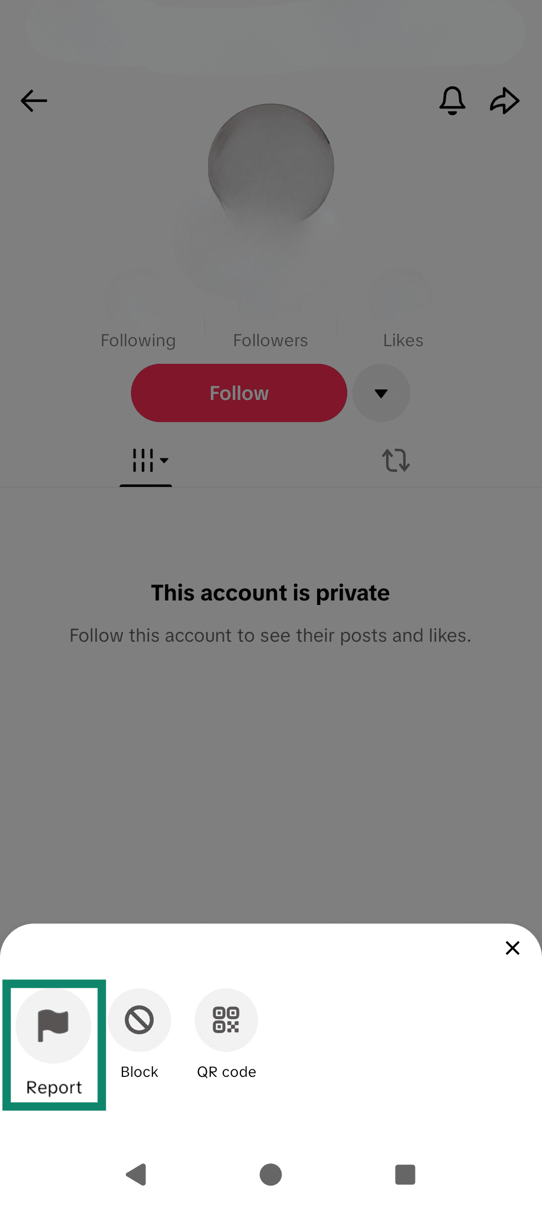 The TikTok Share button, highlighting the Report feature.