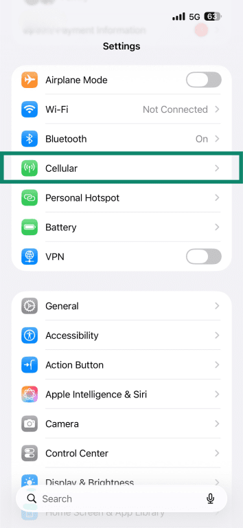 iOS' Settings app with the Cellular menu item highlighted.