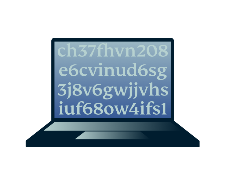 Top Level Encryption@2x