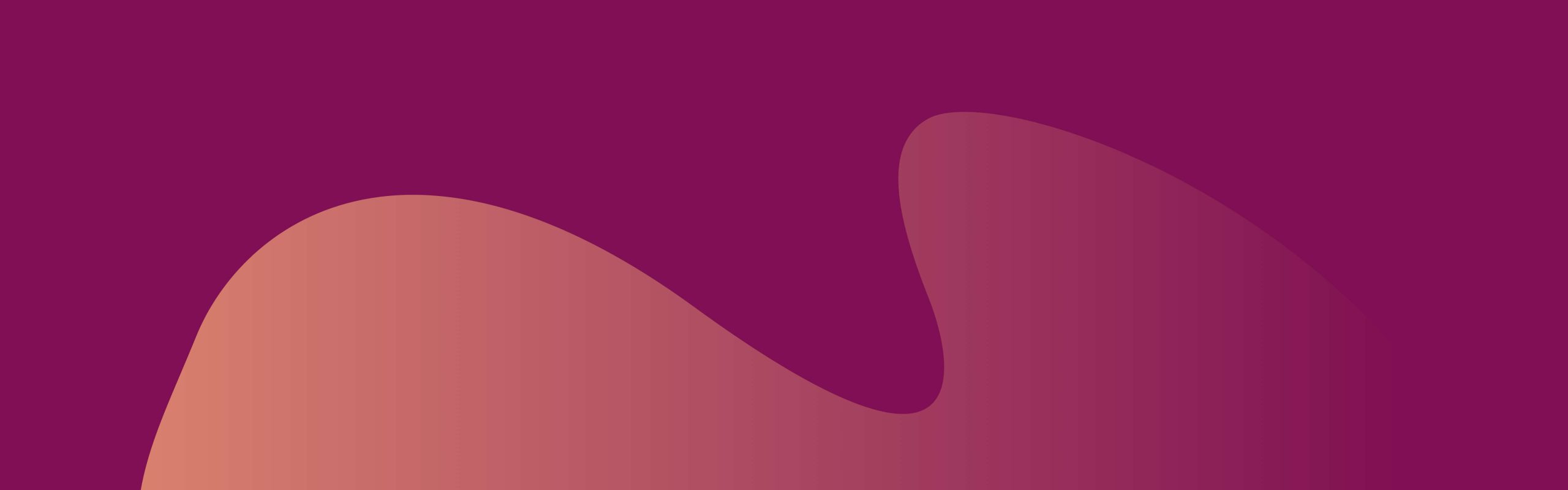 Sådan bruger man en VPN