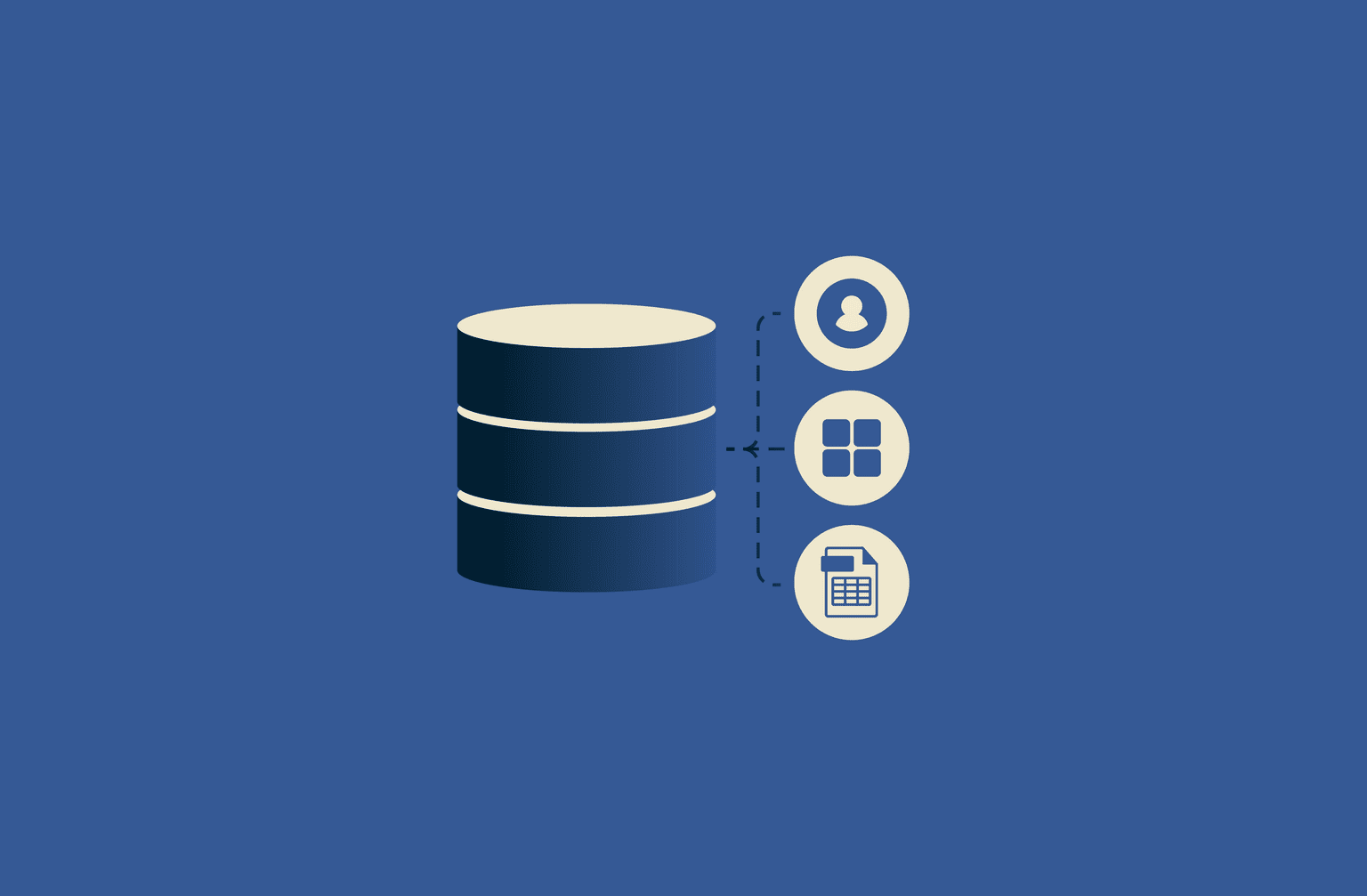 Database management system (DBMS)